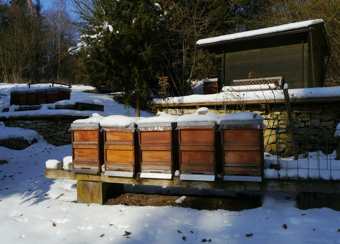 What do bees do in wintertime?