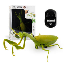 Load image into Gallery viewer, Infrared RC Insect Toys